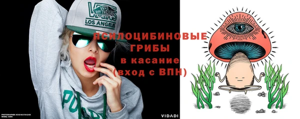 кокс Алексин